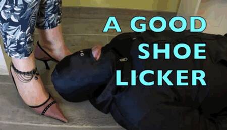 CC - Be a good shoe licker