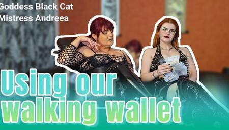 Goddess Black Cat and Mistress Andreea - Using our walking wallet