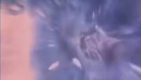 The Grinch That soled Christmas ???? starring @Latinasolez_ & @Footacular1 cut