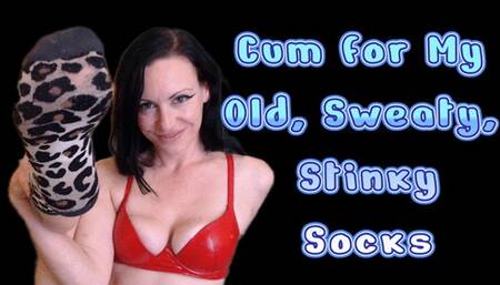 Cum for My Old, Sweaty, Stinky Socks