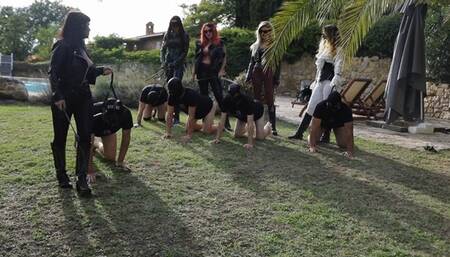 GOLDENWHIP: Pony riding lessons