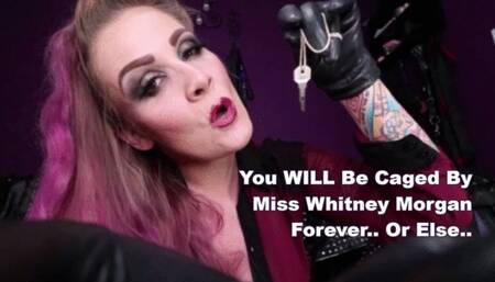 You Will Be Caged By Miss Whitney Morgan Forever Or Else - wmv