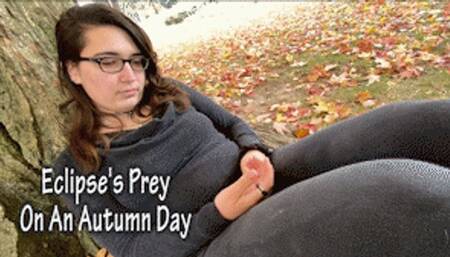 Eclipses Prey On An Autumn Day - HD 720p Version