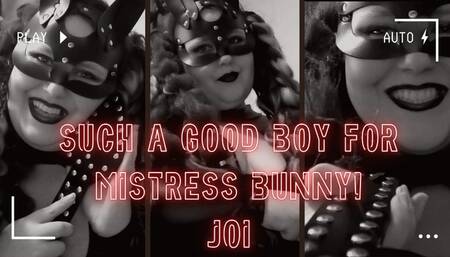 Mistress Bunny gives JOI and praises her good boy