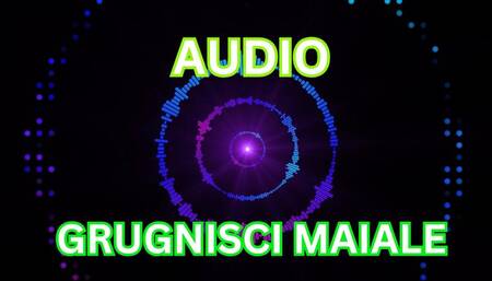 VERA TELEFONATA - GRUGNISCI SPORCO MAIALE