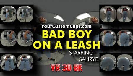 Bad Boy On Leash VR 3D 8K