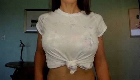 Swallow Tales - CEI for Tits