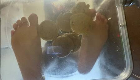 Stomping - Goddess MXDominion Stomping Cookies in Clear Chair, mind fuck, femdom, foot worship 1080