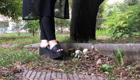 Crush mashrooms outdoors!