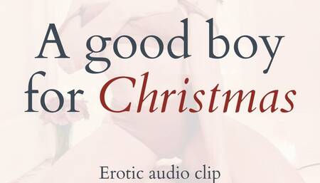 A Good Boy for Christmas