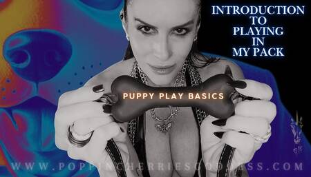 Poppin Cherries Goddess in Puppy Play Basics - Introduction to Playing in My Pack