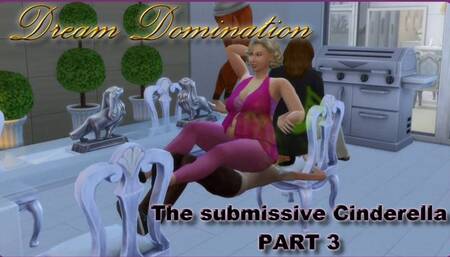 The submissive Cinderella - Part 3