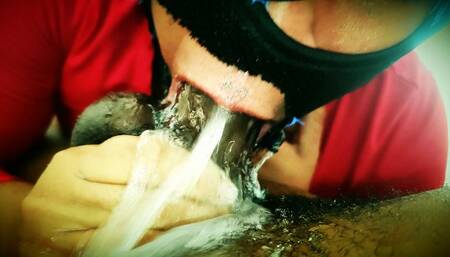 Colombian Throat SUB Bunny