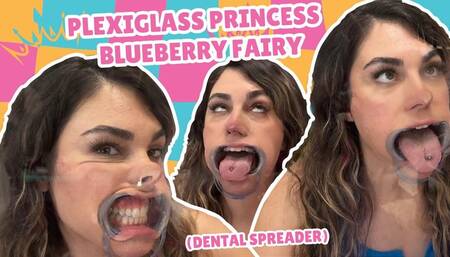 Plexiglass Princess Blueberry Fairy Dental Apparatus