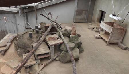 FC2PPV 4573389 初撮影・顔出し！3日間限定！思いっきり恥ずかしがり屋で今日まで本当の自分を見せら