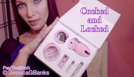 Cucked & Locked by JessicaGBanks as the hot wife of nightmares draining your wallet, mocking & locking you in chastity as she cheats on you w findom, cuckolding
