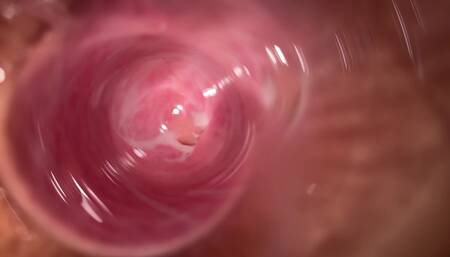 Camera Deep Inside Mia's Tiny Creamy Pussy
