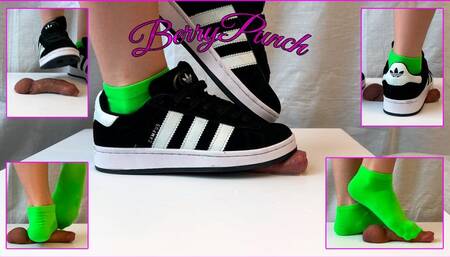 Cock Trampling Green Socks - Cock Crush And Cum Play Adidas Campus - Cockbox - Cock Crush - Shoejob - Sockjob - 10080HD