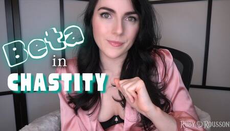 Happy Birthday Cuck - Locked Away for Oral Servitude Part 2