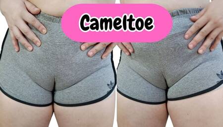 CAMELTOE Big pussy