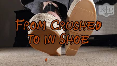 From Crushed to In-shoe