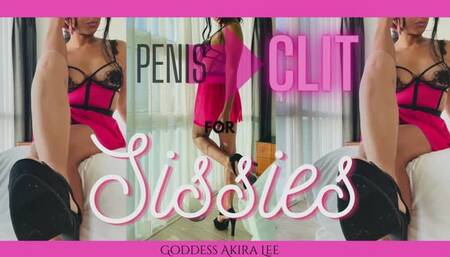 Penis to Clit Reprogramming