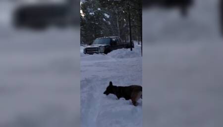 What Do You Do When It Snows