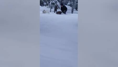 What Do You Do When It Snows
