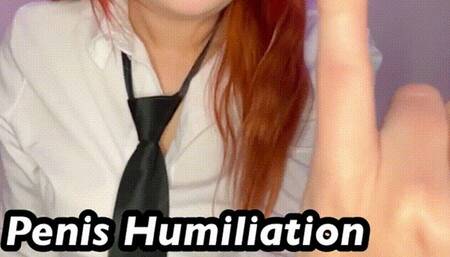 Penis Humiliation Dick Rate - SPH Small Penis Humiliation Cock Rating