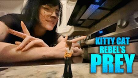 Kitty Cat Rebels Prey - HD 1080p Version