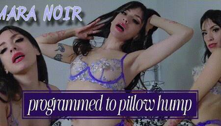 Programmed to Pillow Hump