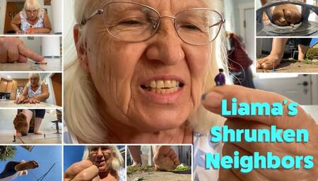 Grandma Liamas Shrunken Neighbors - HD 1080p Version