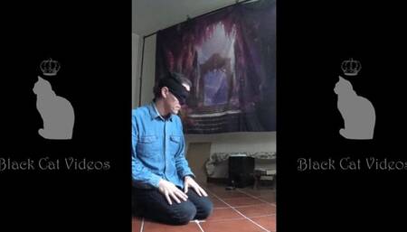 kicks in your face! (fullbody view)