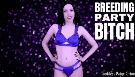 Breeding Party Bitch
