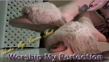 Worship My Perfection