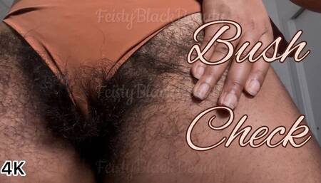 Goddess Feisty’s Bush Check: Hairy Ebony Pussy Update 4K
