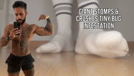 Giant gets rid of tiny bug infestation - Lalo Cortez