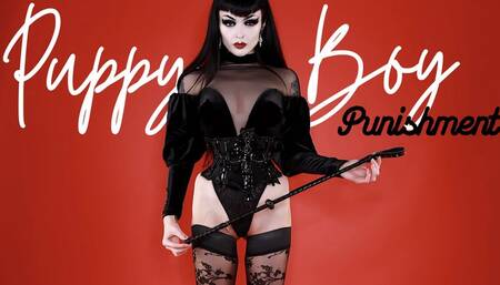 Puppy Boy Punishment