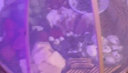 v15044gf0000ctbpkjvog65v7fns4i90