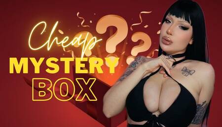 Cheap mystery box