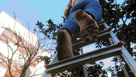 To the garden for oranges AVI (1920x1080) FHD