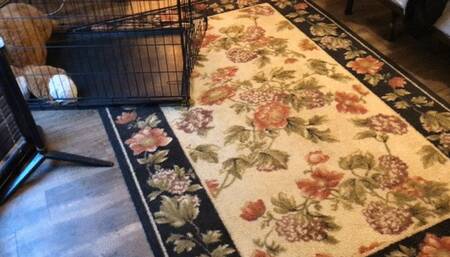 Tiny slaves found on toilet, pissed on, and sent down the toilet