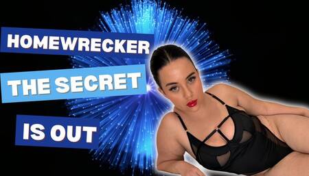 Homewrecker the secret is out