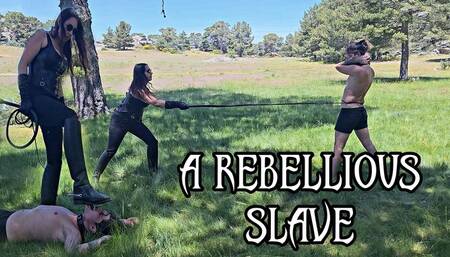 A REBELLIOUS SLAVE