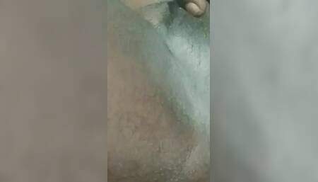 My Videos