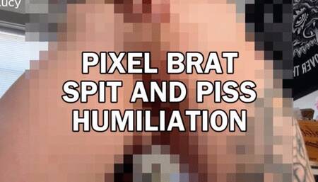 PIXEL BETA SAFE TINY COCK STUPID BITCH SPIT AND PEE FETISH FEMDOM POV