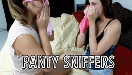 Panty Sniffing Sluts (iPhone)