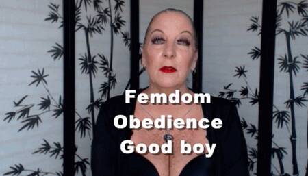 Lifestyle Femdom Obedience Good Boy (MOV)