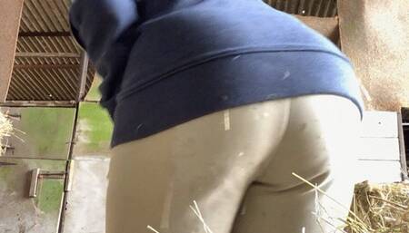 Brushing Off The Hay