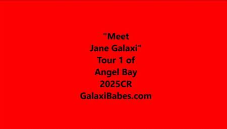 Jane's AI Bots at Second Life wmv